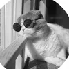 amanj_harki98