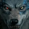 _nurik_7312