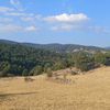 mertcan_0130