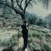 galihtriardiansyah