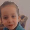 user8381359915158