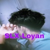 loyan2008