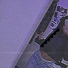 leylii_tprd