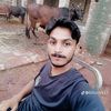 bilo.virk