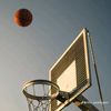abdi68362