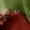 malak.mohamed2559
