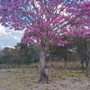 edvan.edvan1