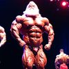bodybuildermonster