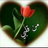 ramzy.mohamed07