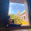 kala_11.11