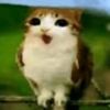 moomooisfat