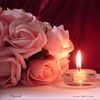 bushradarwish775