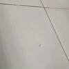 gil_giva18
