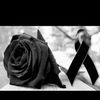 raul.torrez.q