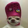 monkeyvr383