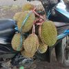 rahmat.jailani0