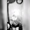 alc_533