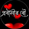 pobasir.bou0.0