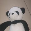 arw_5117