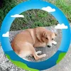 sam_song19