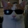 505cat0