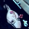 puputttttttttt29