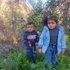um.ahmed0537