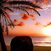 fathima.hasam