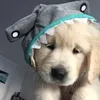 boo buồn ngụ🥱