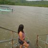 nicol139144