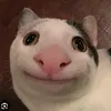 m.qng0