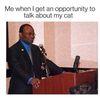 catsandkittens778