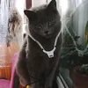 kat.love44