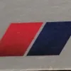 tatjanatesla781
