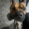 jordaks_682
