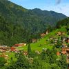 mehmet_53_61