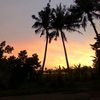 amrinsuka_ewewe12