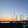 cecilia.turner6