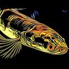 chpredatorxguppy3
