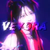 veyora_records