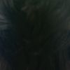 amelia_21_2