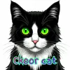 ckoor.cat