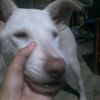 nelly.sihombing09