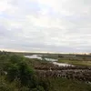 nomolestaryyak