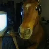 cavalo_gamer64