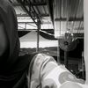 nrazr._fiah