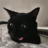 stathistheblack