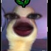 user467323150
