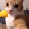 nerdyidolborgg05