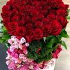 user19620274868607